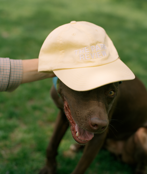 Baseball Cap in Butter Yellow