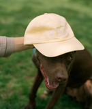 Baseball Cap in Butter Yellow